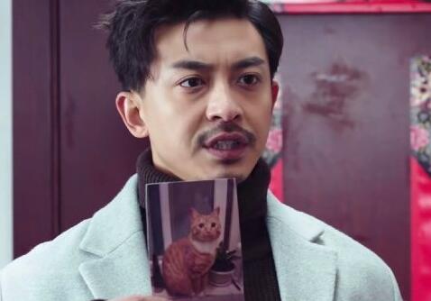 猎心者戴猛为什么辞去公职