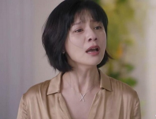 安家阚太太的项链是什么牌子