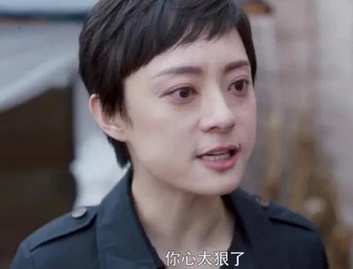 安家房似锦妈妈结局是什么