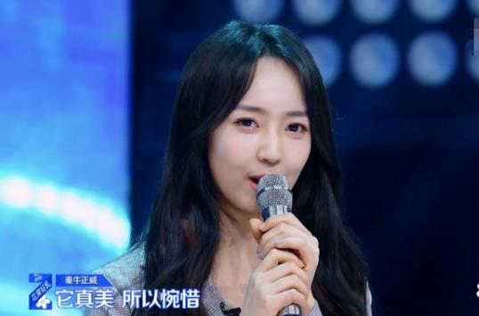 秦牛正威reader什么意思