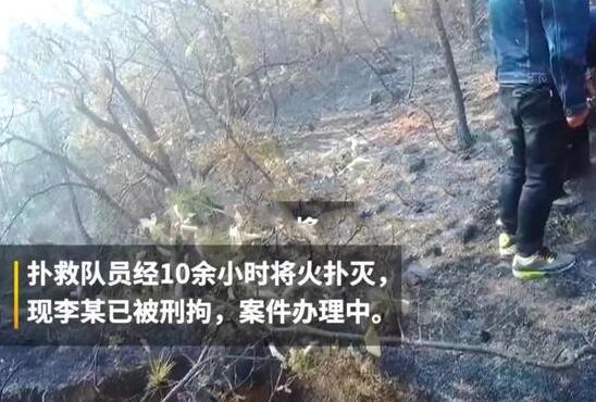 上坟抽烟致百亩山林火灾