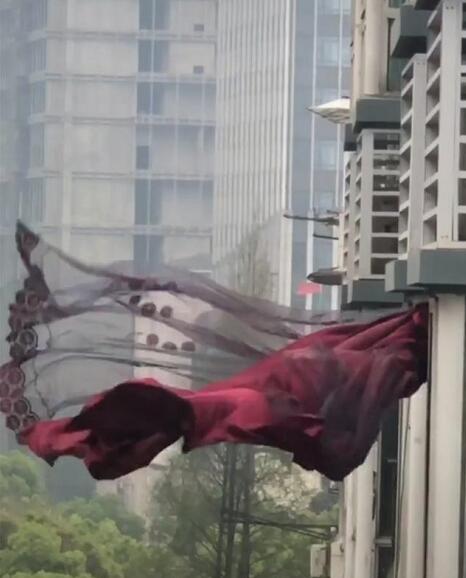 被拍成连续剧的窗帘户主回家了