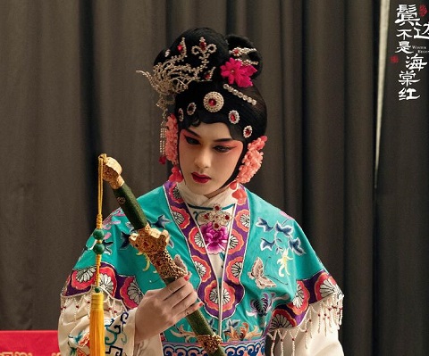 鬓边不是海棠红陈纫香下线第几集