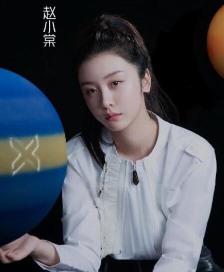 赵小棠是什么公司的