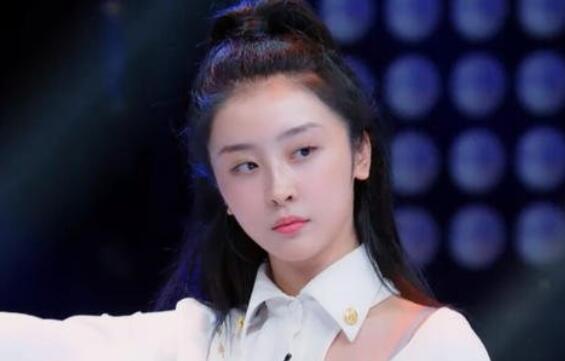 赵小棠是什么公司的