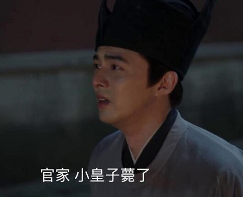 清平乐第一个皇子是谁生的