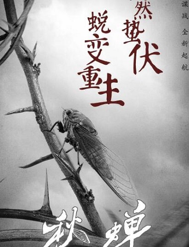 秋蝉和麻雀有什么联系