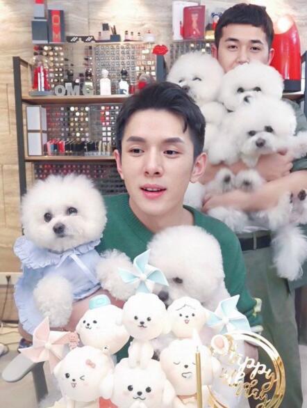 李佳琦小助理转幕后做合伙人