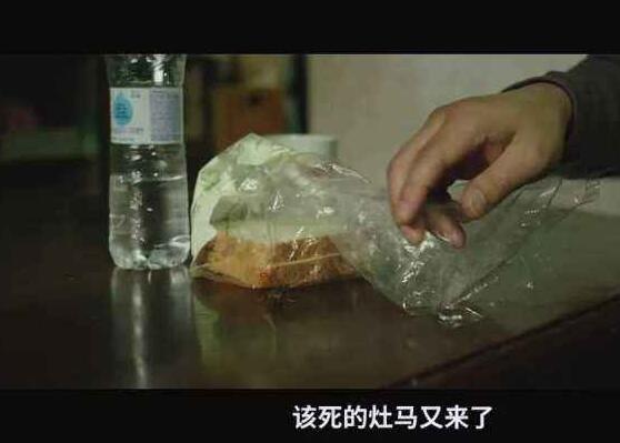 寄生虫中有没有出现过虫子