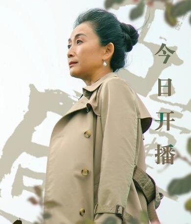 老朝奉为什么对付许愿