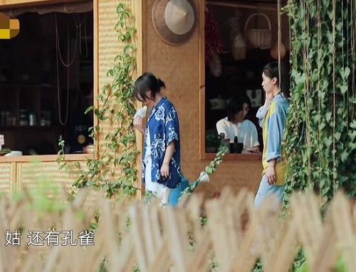 向往的生活4张婧仪背景来历