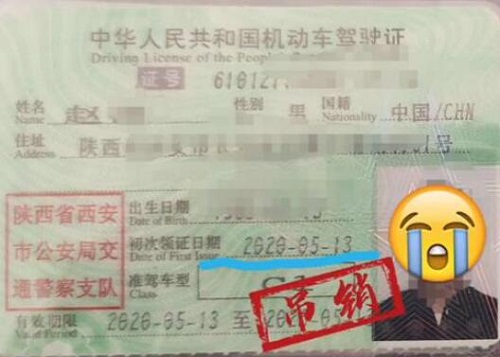 史上最短命驾照
