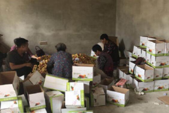 西安80岁奶奶直播带货