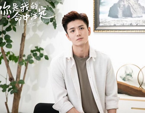 你是我的命中注定狄伦是什么人