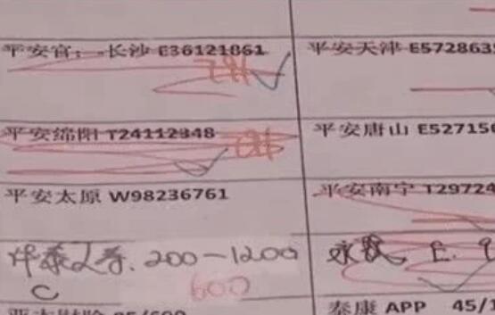 利用航班延误骗保300多万元