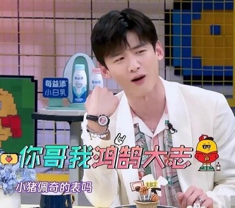 拜托了冰箱6井柏然手表什么牌子