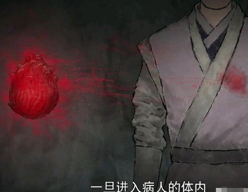 暮白首赤华珠是什么