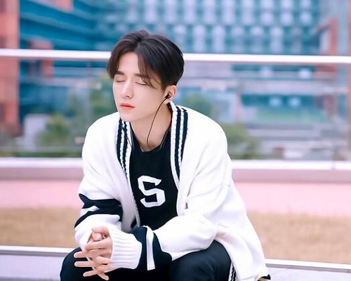 蜗牛与黄鹂鸟李臻言母亲怎么死的