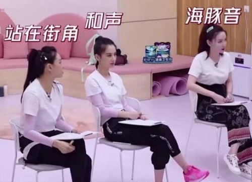 乘风破浪的姐姐伊物降依物什么梗