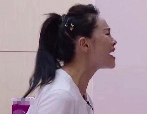 乘风破浪的姐姐伊物降依物什么梗