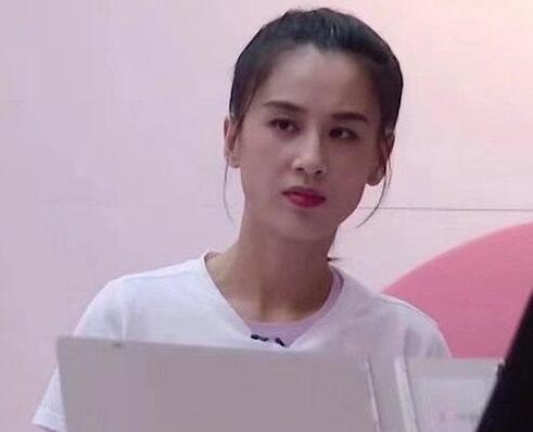 乘风破浪的姐姐伊物降依物什么梗