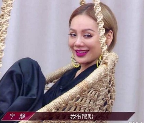 乘风破浪的姐姐宁静退赛了吗