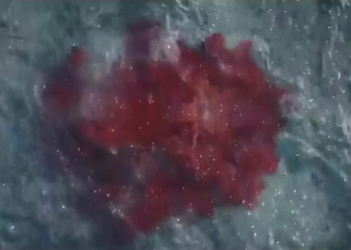 河神2九牛入海钓河妖是第几集