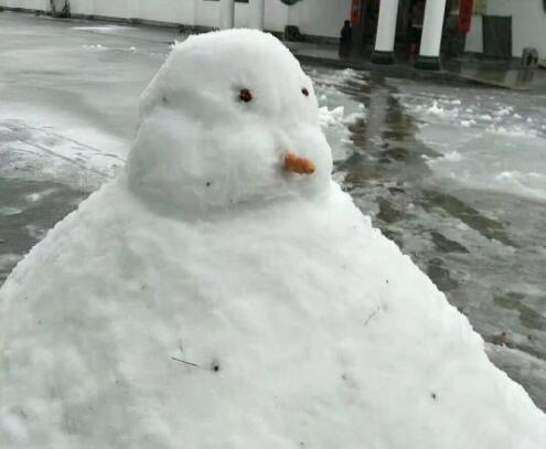 2007东北肢体雪人案是真实的吗