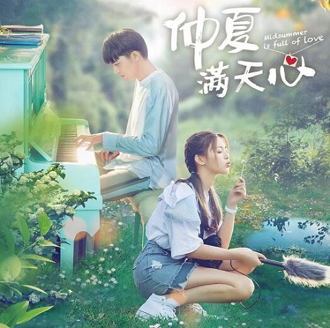 仲夏满天星是哪个小说改编