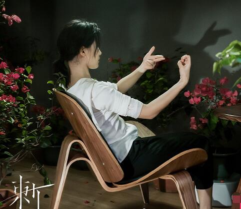 电视剧刺是小说改编的吗
