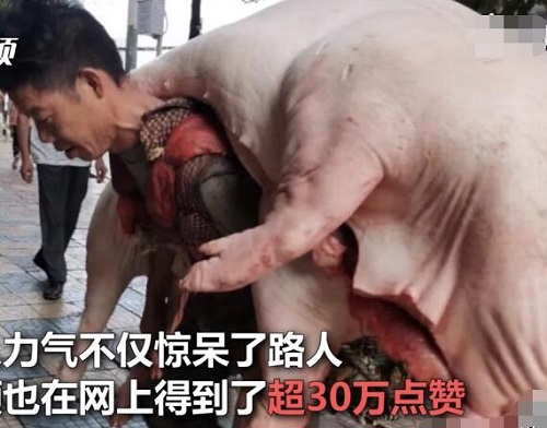 贵阳背肉汉回应背480斤猪肉