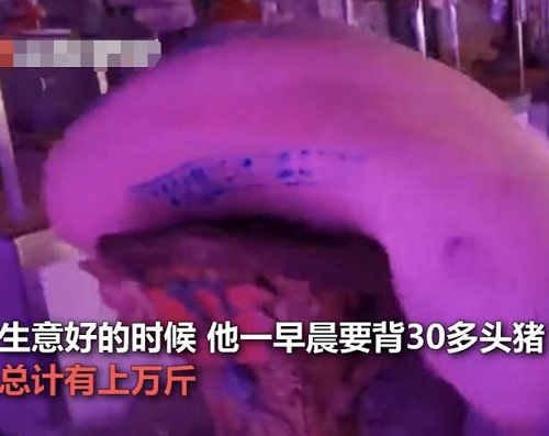 贵阳背肉汉回应背480斤猪肉