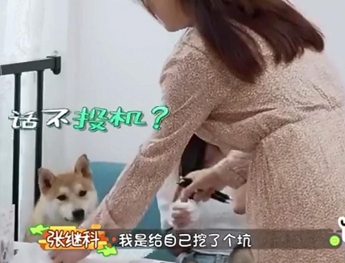做家务的男人2张继科相亲第几期