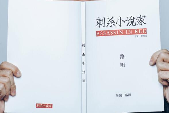 刺杀小说家原著小说叫什么