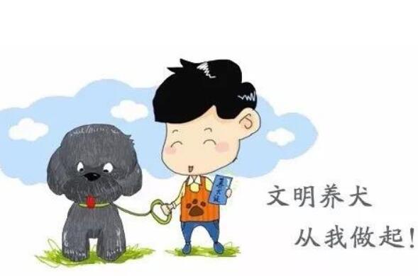遛狗老人被高空坠猫砸晕倒地