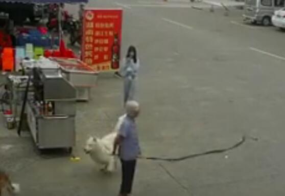 老人被狗绳绊倒摔地后身亡