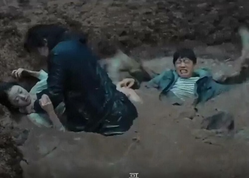非常目击谁杀了小白鸽