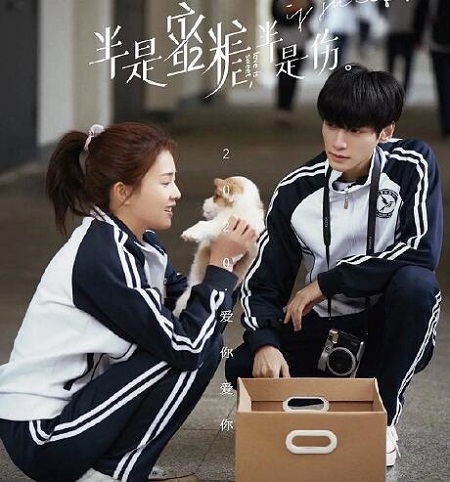 半是蜜糖半是伤袁帅人物介绍