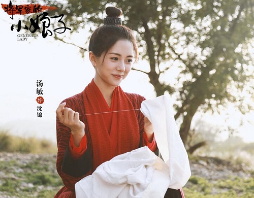 将军家的小娘子根据什么改编