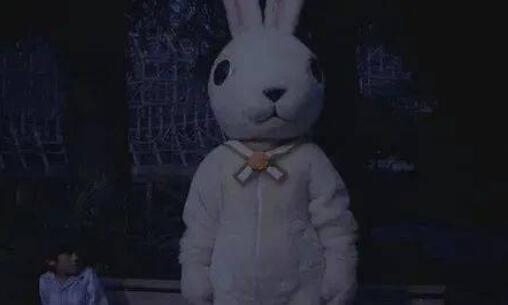 禁曲十只兔子背后的故事