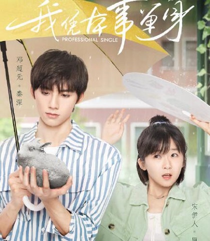 我凭本事单身改编自哪本小说