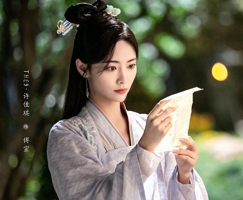如意芳霏傅宣人物介绍