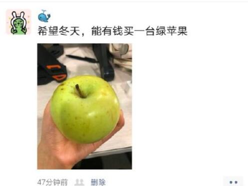 冬天的第一个苹果