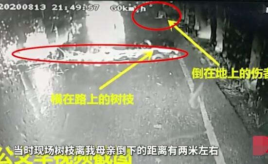 天降枯树枝砸死过路六旬老太