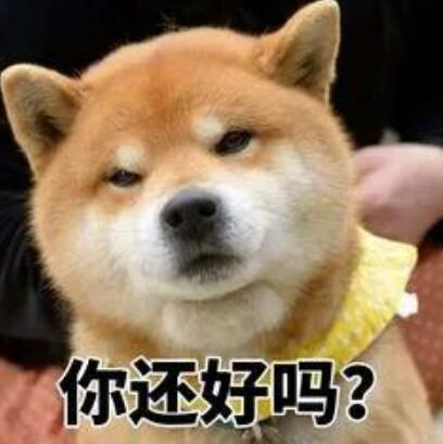 社会性死亡是什么意思