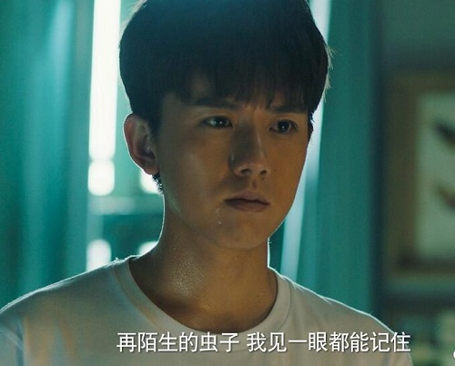 电视剧破茧是小说改编的吗