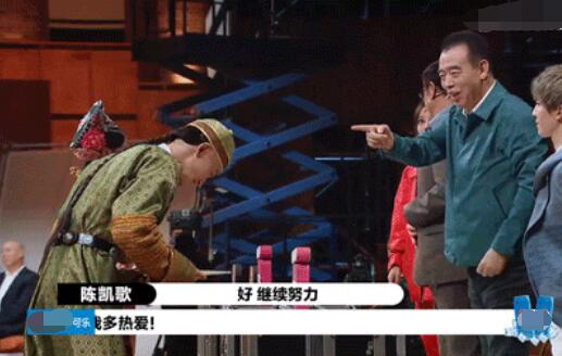 陈宥维是陈凯歌什么人