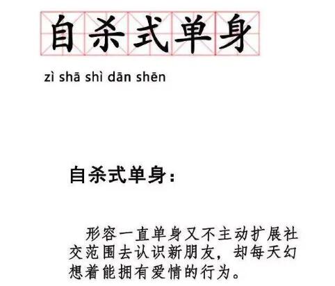自杀式单身是什么意思