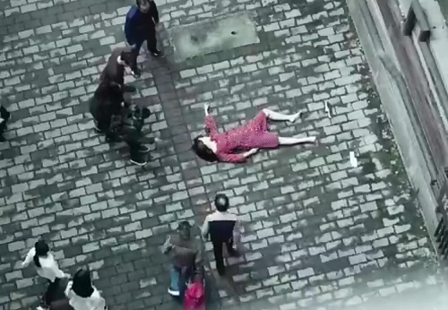 破茧文白和景天什么关系
