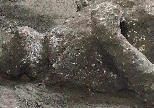 2000年前死于火山喷发遗骸被发现
